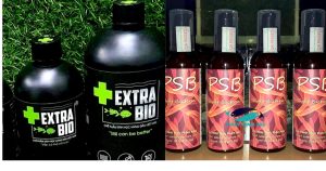 So sánh hai loại vi sinh Extra Bio và PSB: Loại nào tốt hơn?